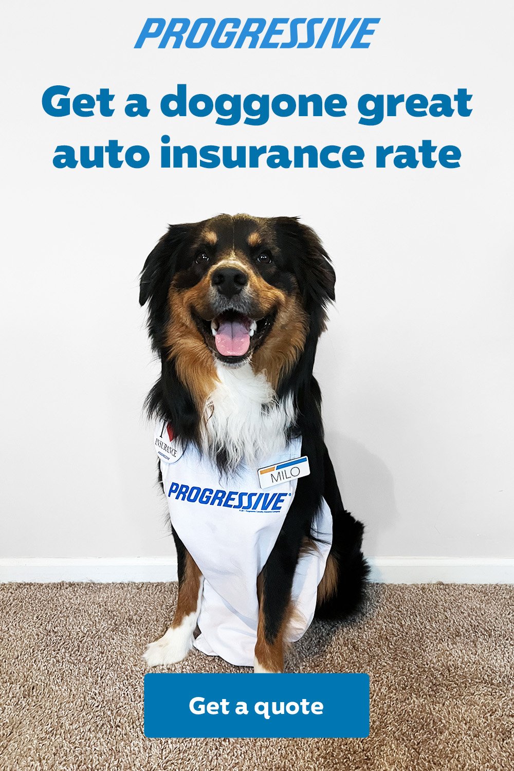 Progressive — Apron dogs Pinterest pin